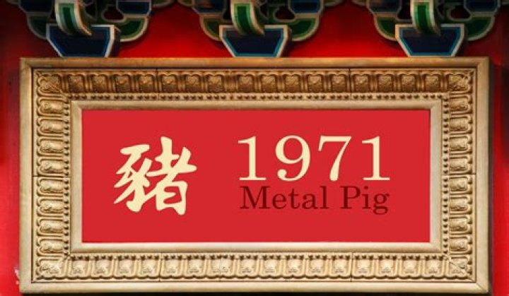 1971 Chinese Zodiac | Metal Pig