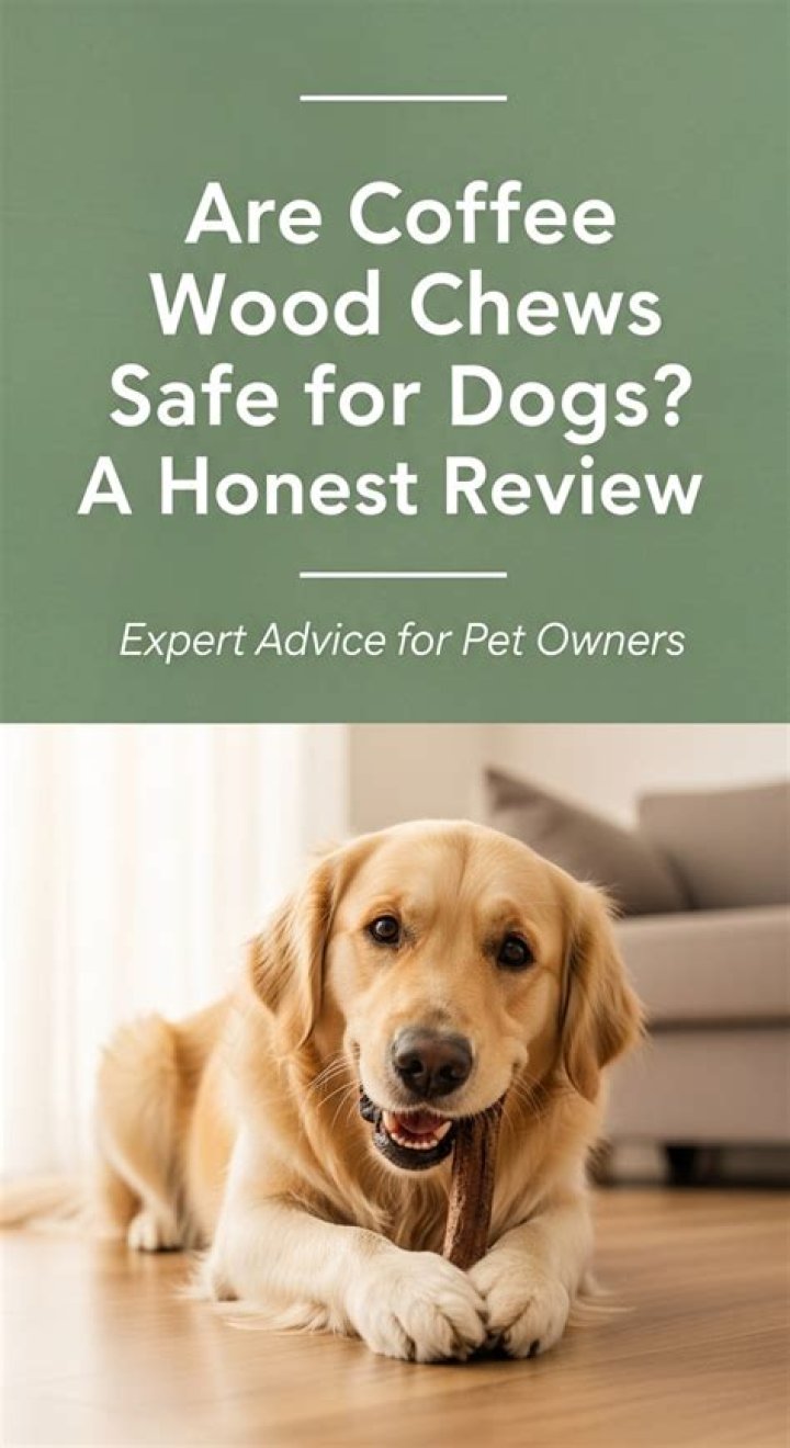 Are coffee wood chews safe for dogs?