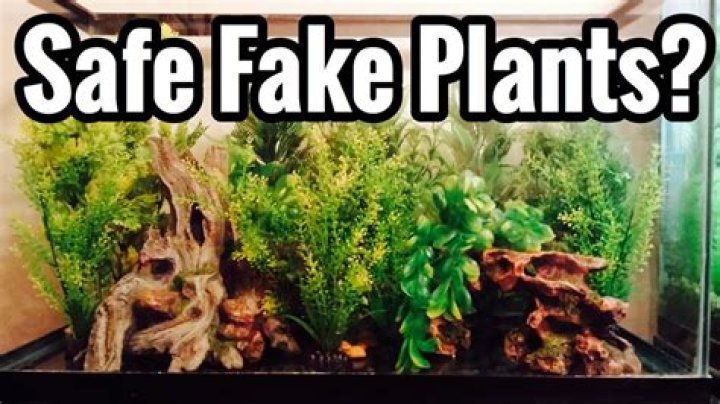 Are silk plants safe for aquariums?