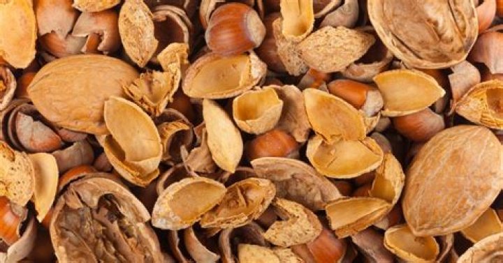 Can nut shells go in compost?