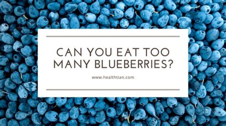 Can you eat too many blueberries in a day?