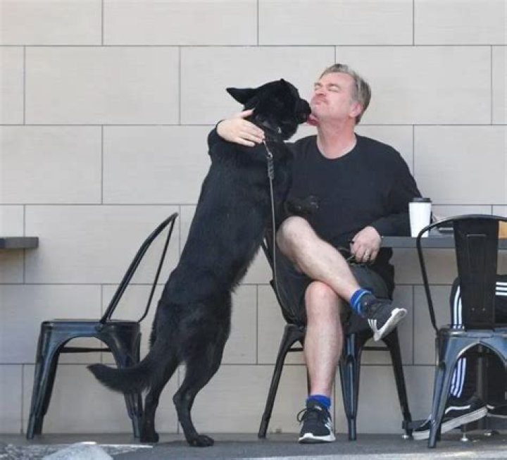 Christopher Nolan Pets - Celebrity Pets