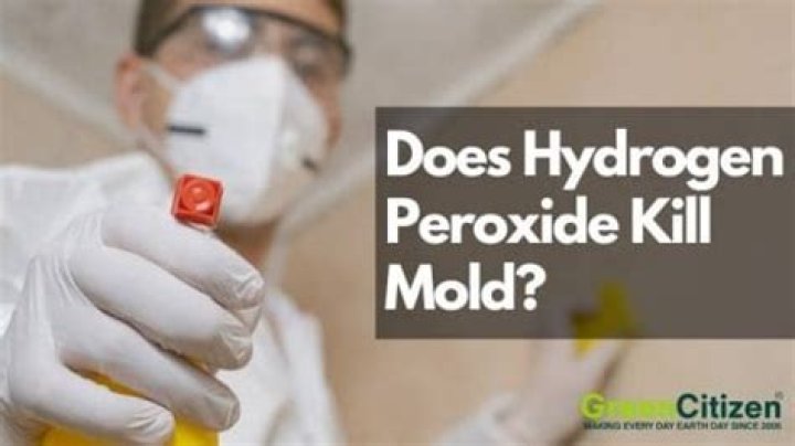 Does hydrogen peroxide kill mold spores?