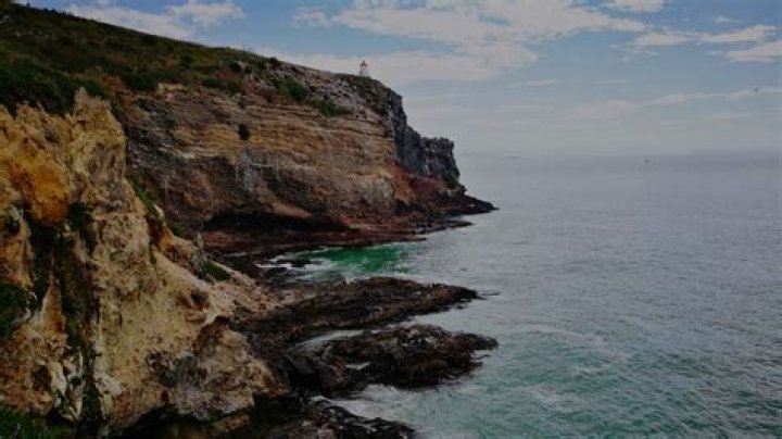 Dunedin Shore Excursions & Cruise Excursions