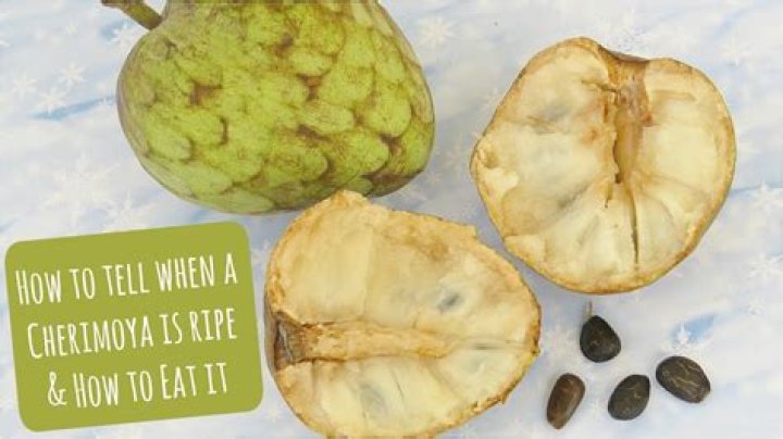 How can you tell if a cherimoya is ripe?