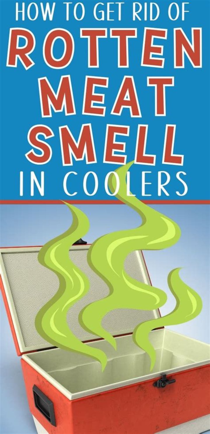 How do I get rotten meat smell out of my RV freezer?