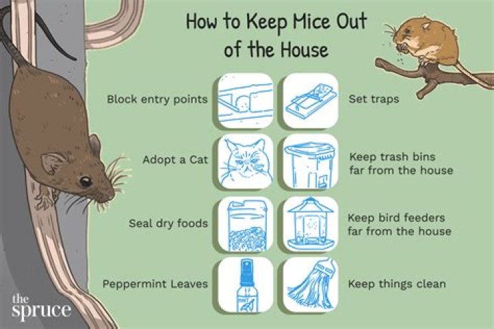 How do I keep mice out of my BBQ?