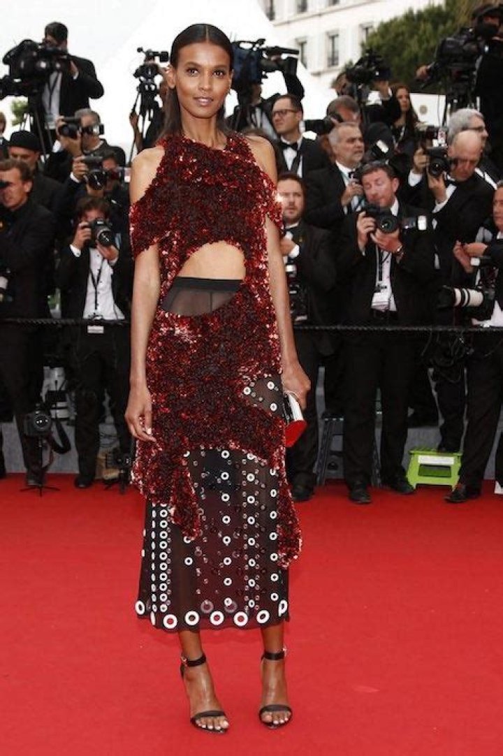 Liya Kebede Height, Weight, Net Worth, Age, Birthday, Wikipedia, Who, Nationality, Biography