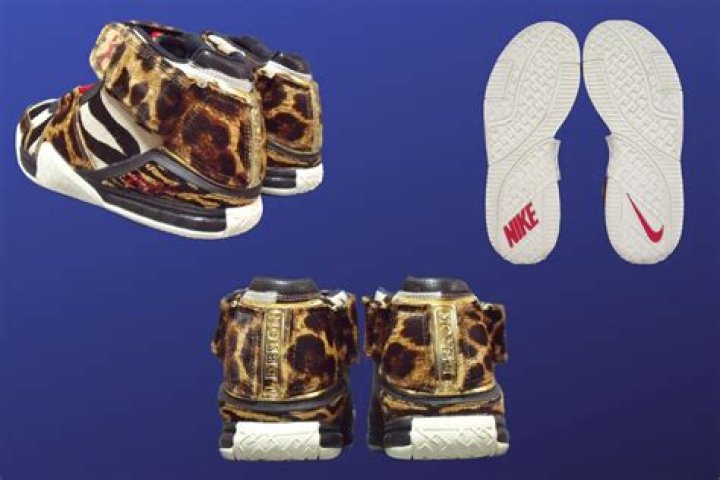 
Nike LeBron 2 “Animal” shoes: Where to buy, price, and more details explored 