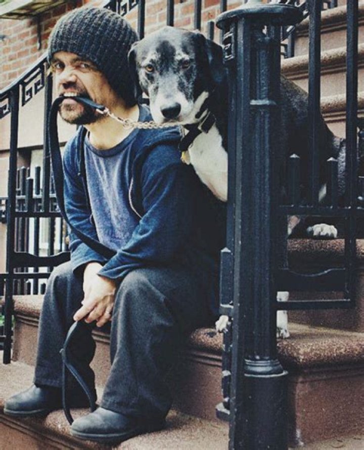 Peter Dinklage Pets - Celebrity Pets