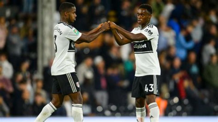 Steven Sessegnon Bio (Wiki) 