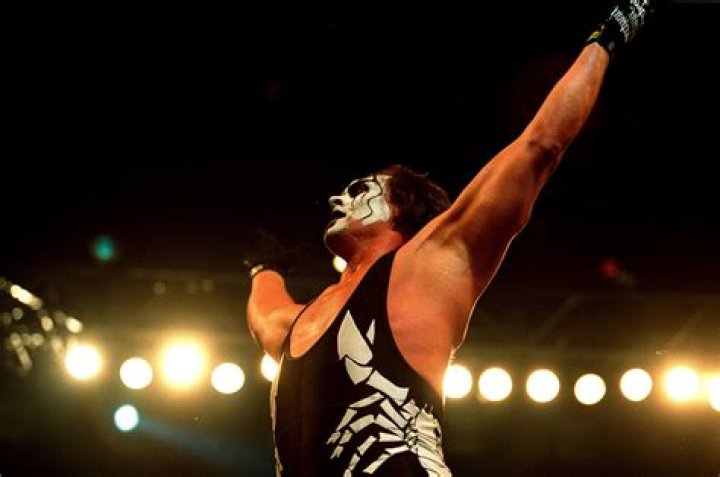 Sting (Wrestler) Net Worth - Wiki, Age, Weight and Height, Relationships, Family, and More