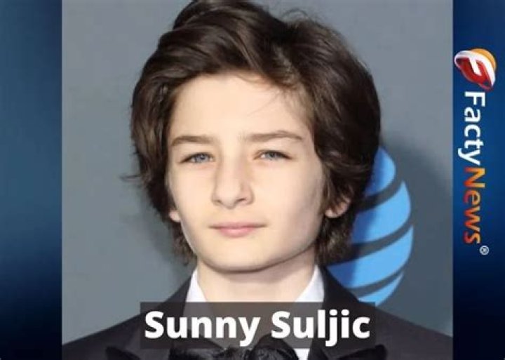 Sunny Suljic - Age, Family, Bio