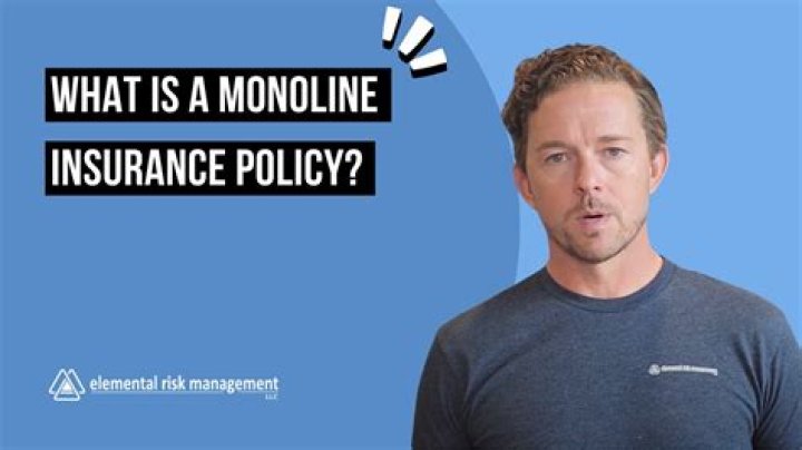 What does monoline insurance mean?