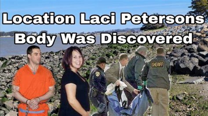What happened to Laci Peterson head?