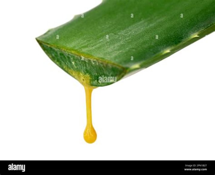 What is the yellow liquid that comes out of aloe vera?