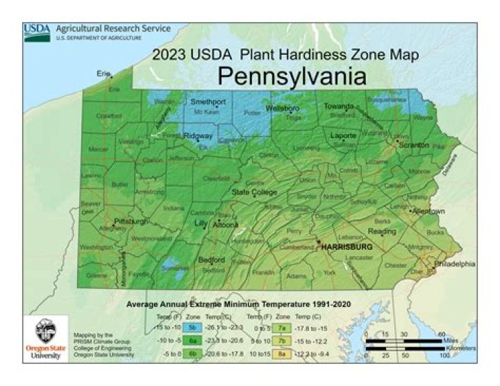 What planting zone is Easton Pa?