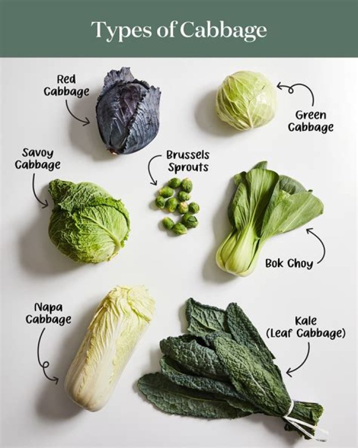 What’s the difference between Savoy cabbage and napa cabbage?
