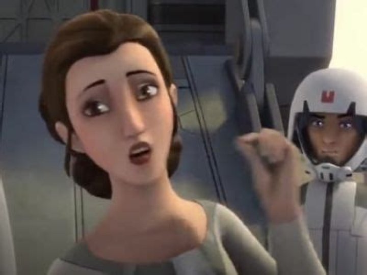 Who Is Princess Leia Voice-Over Artist Julie Dolan? Husband, Net Worth & Bio