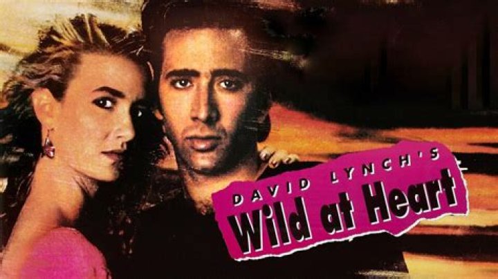 Wild at Heart - Cast, Ages, Trivia